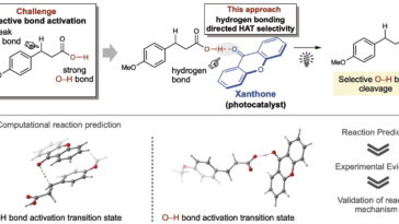 La méthode de transfert d'atomes d'hydrogène transforme sélectivement les acides carboxyliques à l'aide d'un photocatalyste bon marché