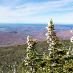 La neige disparue des forêts est également une mauvaise nouvelle pour le stockage du carbone