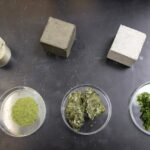 La poudre d'algues en ciment diminue les émissions de carbone du béton sans sacrifier la force La poudre d'algues en ciment diminue les émissions de carbone du béton sans sacrifier la force