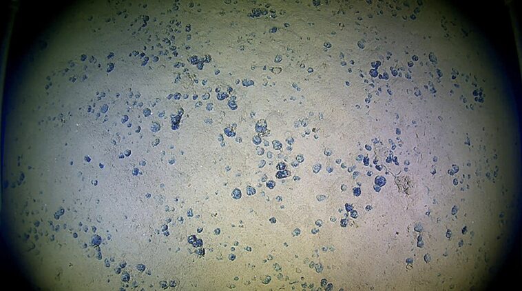 La recherche de véhicule autonome dans la tranchée de Mariana aide à faire progresser la compréhension des eaux profondes et de ses minéraux critiques La recherche de véhicule autonome dans la tranchée de Mariana aide à faire progresser la compréhension des eaux profondes et de ses minéraux critiques