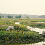 La rupture de défaut du tremblement de terre du Myanmar a dépassé les vitesses des vagues sismiques, offrant des preuves rares de supershear