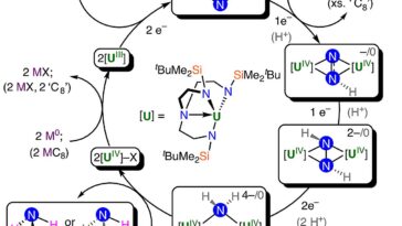 Le catalyseur à base d'uranium transforme l'azote d'air en ammoniac