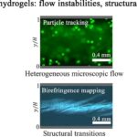Le comportement du matériau doux devient plus clair à mesure que les scientifiques cartographient directement la déformation des cristaux liquides