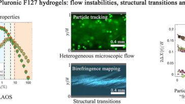 Le comportement du matériau doux devient plus clair à mesure que les scientifiques cartographient directement la déformation des cristaux liquides