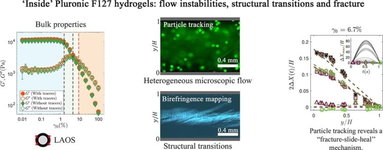 Le comportement du matériau doux devient plus clair à mesure que les scientifiques cartographient directement la déformation des cristaux liquides