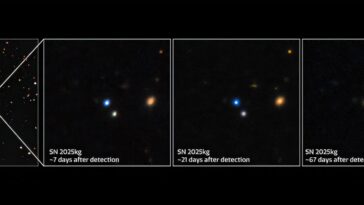 Le lien surprenant entre les transitoires rapides des rayons X et la mort explosive des étoiles massives