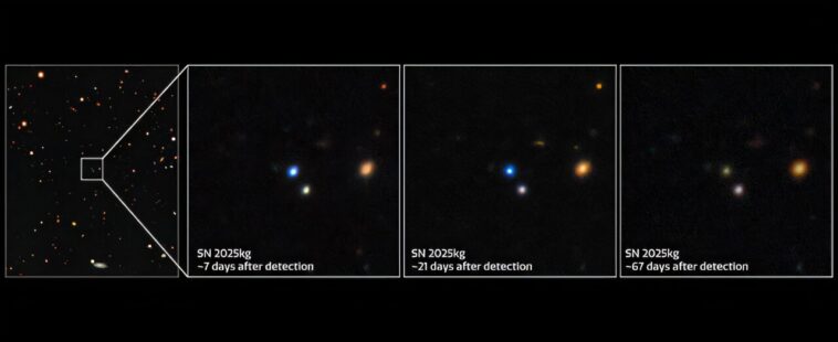 Le lien surprenant entre les transitoires rapides des rayons X et la mort explosive des étoiles massives