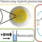Le nouveau matériau à base d'argile pourrait offrir un moyen abordable et faible pour lutter contre la pollution de l'eau en utilisant uniquement la lumière du soleil Le nouveau matériau à base d'argile pourrait offrir un moyen abordable et faible pour lutter contre la pollution de l'eau en utilisant uniquement la lumière du soleil