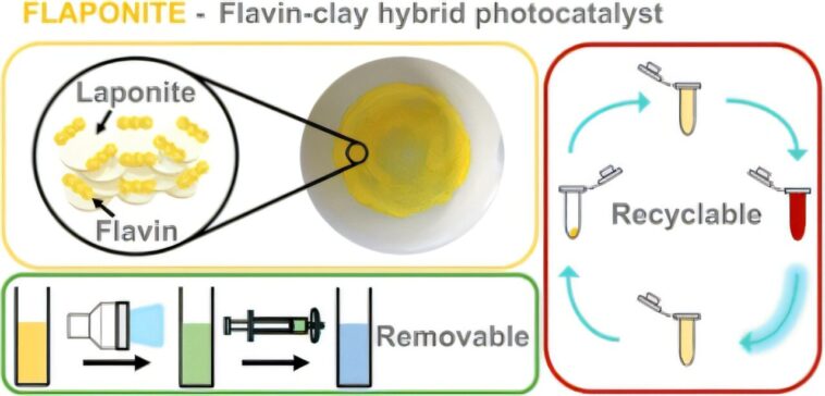 Le nouveau matériau à base d'argile pourrait offrir un moyen abordable et faible pour lutter contre la pollution de l'eau en utilisant uniquement la lumière du soleil Le nouveau matériau à base d'argile pourrait offrir un moyen abordable et faible pour lutter contre la pollution de l'eau en utilisant uniquement la lumière du soleil