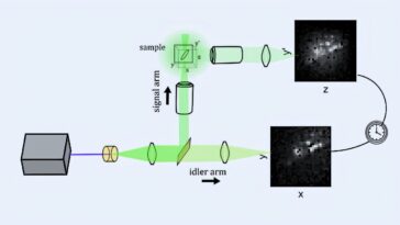 Le nouveau microscope crée des images fantômes 3D de nanoparticules à l'aide de photons enchevêtrés