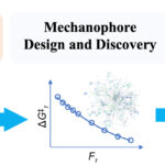 Le polymère de gel en forme de muscle se renforce avec une nouvelle recette