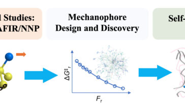 Le polymère de gel en forme de muscle se renforce avec une nouvelle recette