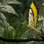 Le reptile du Trias spectaculaire avait un type de plumes précoce