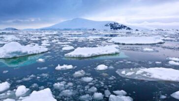 Le rétrécissement de la glace de mer antarctique réchauffe l'océan plus rapidement que prévu
