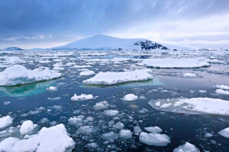 Le rétrécissement de la glace de mer antarctique réchauffe l'océan plus rapidement que prévu