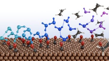Le trouble moléculaire de l'eau aide à transformer les déchets de carbone en produits à combustible précieux