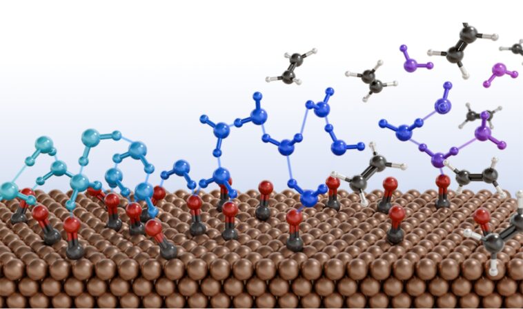 Le trouble moléculaire de l'eau aide à transformer les déchets de carbone en produits à combustible précieux Le trouble moléculaire de l'eau aide à transformer les déchets de carbone en produits à combustible précieux