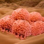 Le virus de l'herpès pourrait bientôt être approuvé pour traiter un cancer de la peau sévère