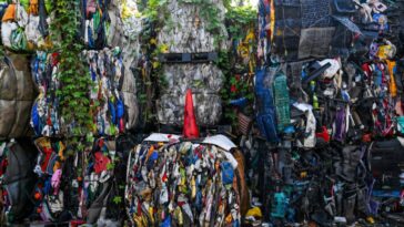 Les ONG louent des lois sur l'importation des déchets en plastique plus dur