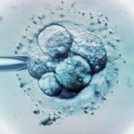 Les bébés fabriqués à l'aide de l'ADN de trois personnes sont exempts de maladies héréditaires