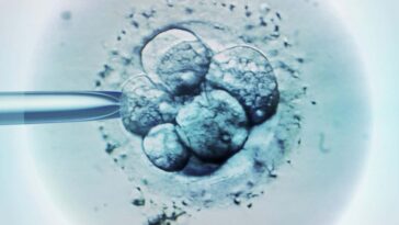 Les bébés fabriqués à l'aide de l'ADN de trois personnes sont exempts de maladies héréditaires