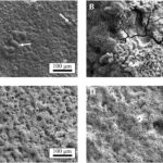 Les chercheurs révèlent comment la fabrication et le traitement de surface affectent la corrosion dans les alliages métalliques bioabsorbables Les chercheurs révèlent comment la fabrication et le traitement de surface affectent la corrosion dans les alliages métalliques bioabsorbables