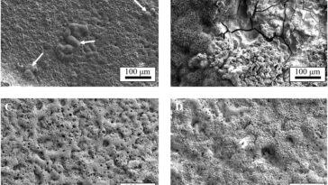 Les chercheurs révèlent comment la fabrication et le traitement de surface affectent la corrosion dans les alliages métalliques bioabsorbables