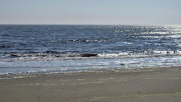 Les communautés côtières varient considérablement en reconnaissance des risques climatiques, montre l'étude