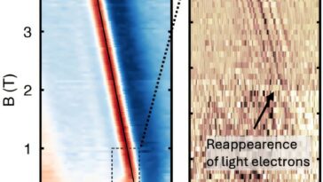 Les électrons légers et lourds coopèrent dans les supraconducteurs à angle magique