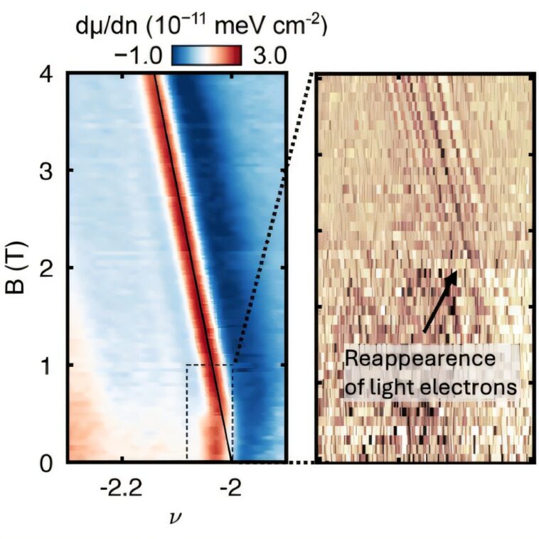 Les électrons légers et lourds coopèrent dans les supraconducteurs à angle magique