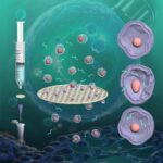 Les filtres en acier inoxydable créent des nanopores temporaires pour une livraison efficace de médicament dans les cellules