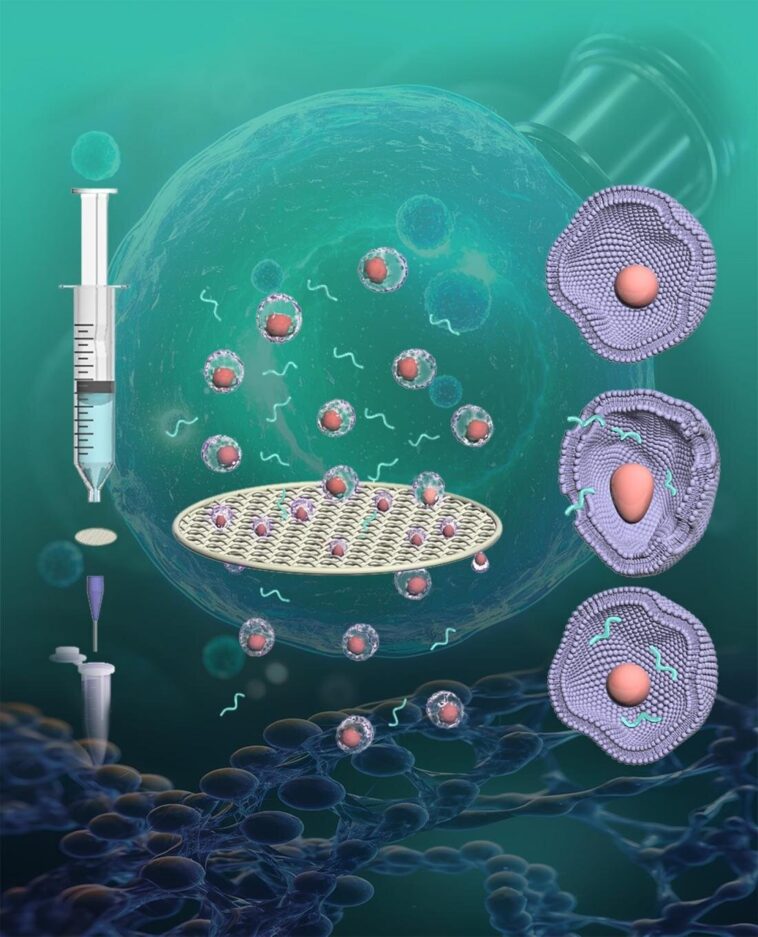 Les filtres en acier inoxydable créent des nanopores temporaires pour une livraison efficace de médicament dans les cellules