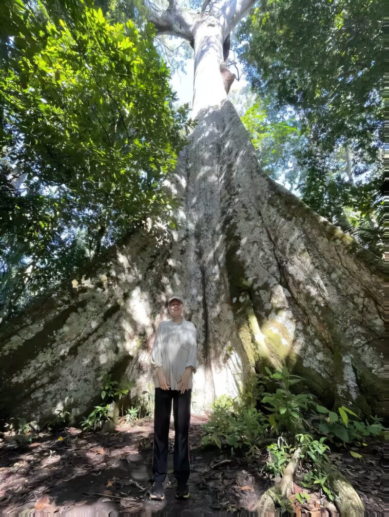 Les forêts amazoniennes brûlées restent chaudes et stressées pendant des décennies, trouve une nouvelle étude