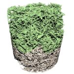 Les images 4D montrent que les dégâts du bouclier thermique sur le vaisseau spatial descend sous la surface