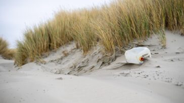 Les insectes affamés et les bioplastiques disparaiss