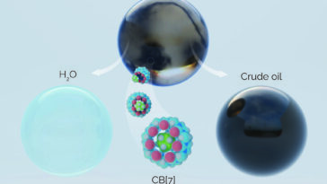 Les molécules creuses extraire sélectivement le cyclohexane pour la séparation des hydrocarbures plus verte