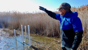 Les monticules couverts de roseaux mystérieux révèlent un vaste réseau d'eau souterrain à Great Salt Lake