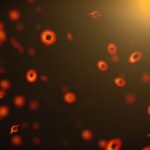 Les mouches primordiales du trou noir pourraient modifier les orbites exoplanet