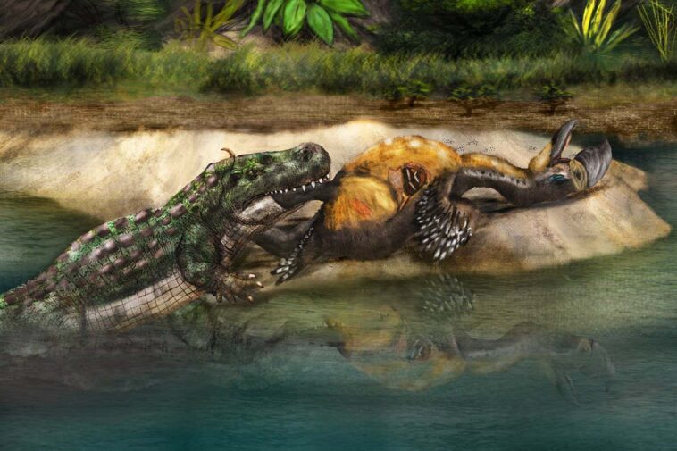 Artists impression of encounter between caiman and terror bird