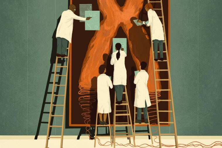 Les plans pour projeter génétiquement les nouveau-nés pour des maladies rares sont problématiques New Scientist. Science news and long reads from expert journalists, covering developments in science, technology, health and the environment on the website and the magazine.