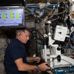 Les problèmes de vision émergent alors que les astronautes passent des mois en orbite