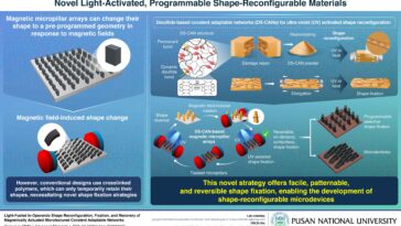 Les réseaux de disulfure et la lumière UV permettent un contrôle de forme permanent dans les matériaux magnétiques