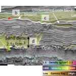 Les scientifiques découvrent des «swinkites» géants sous la mer du Nord