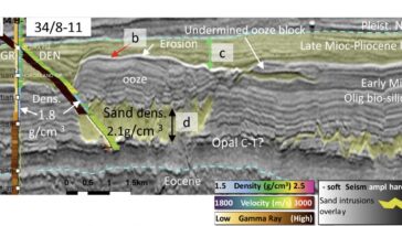Les scientifiques découvrent des «swinkites» géants sous la mer du Nord