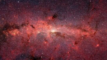 Les stars immortelles pourraient vivre éternellement en `` mangeant '' de la matière noire