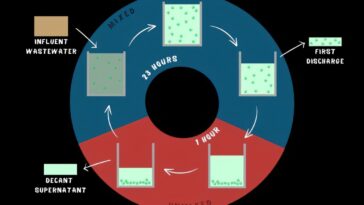 Les systèmes à base d'algues améliorent le recyclage des eaux usées pour les communautés rurales et régionales
