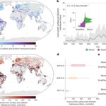Les vagues de chaleur du lac sous-marine sont en augmentation, menaçant la vie aquatique
