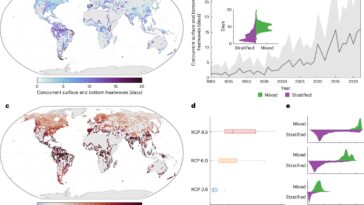 Les vagues de chaleur du lac sous-marine sont en augmentation, menaçant la vie aquatique
