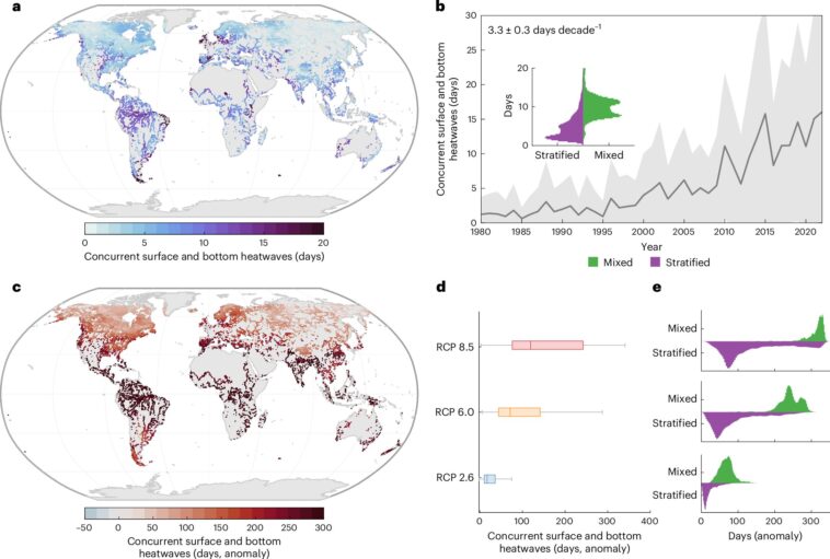 Les vagues de chaleur du lac sous-marine sont en augmentation, menaçant la vie aquatique Les vagues de chaleur du lac sous-marine sont en augmentation, menaçant la vie aquatique