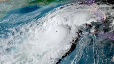 Les vagues de chaleur marines enregistrées peuvent signaler un changement permanent dans les océans